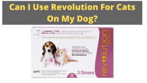 Can I Use Revolution For Cats On My Dog?