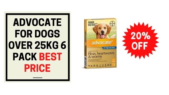 Advocate for Dogs Over 25kg 6 Pack Best Price