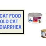 best cat food for old cat with diarrhea