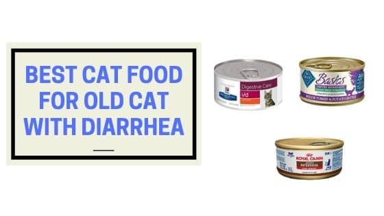 best cat food for old cat with diarrhea