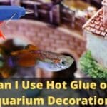Can I Use Hot Glue on Aquarium Decorations