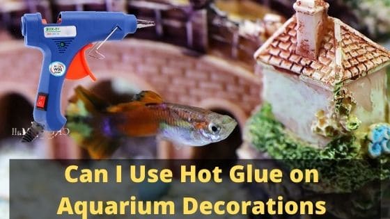 Can I Use Hot Glue on Aquarium Decorations