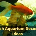 Goldfish Aquarium Decoration Ideas