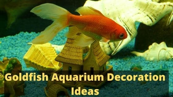 Goldfish Aquarium Decoration Ideas