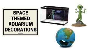 Space Themed Aquarium Decorations