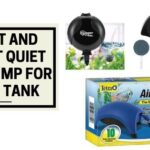 Best and Most Quiet Air Pump For Fish Tank