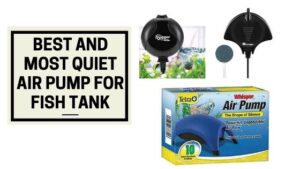 Best and Most Quiet Air Pump For Fish Tank