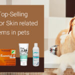 Best Products for Pets with Skin Care Problems