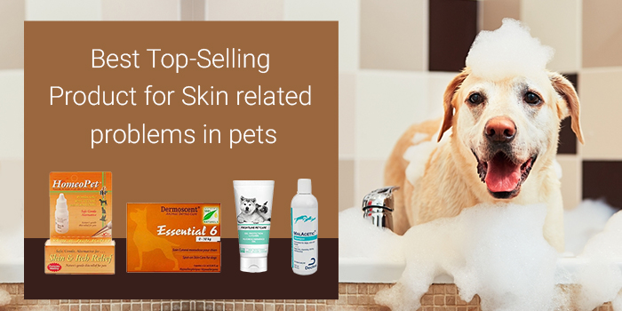 Best Products for Pets with Skin Care Problems
