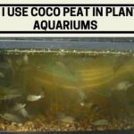 can i use coco peat in planted aquariums