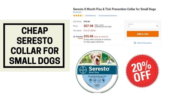 Seresto Collar Printable Coupon 2020 Printable Word Searches