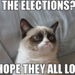 cat election meme