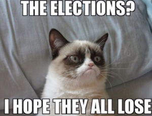 cat election meme