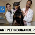 walmart pet insurance review