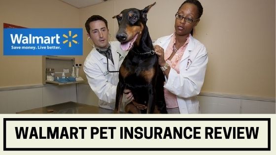 walmart pet insurance review