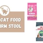 Best Cat Food For Firm Stool