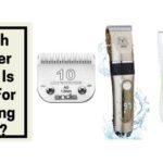 Which Clipper Blade Is Best For Shaving Cats?