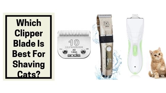 Which Clipper Blade Is Best For Shaving Cats?