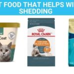 cat food that helps with shedding
