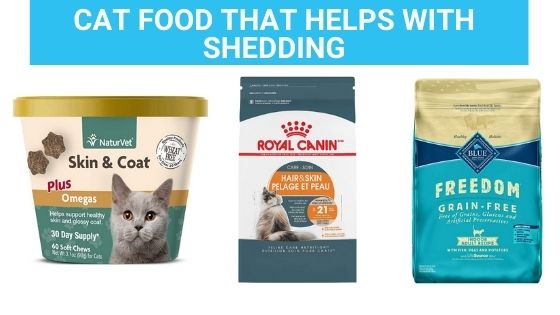 cat food that helps with shedding