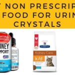 best non prescription cat food for urinary crystals