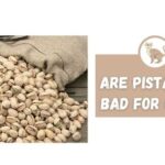 are pistachios bad for cats