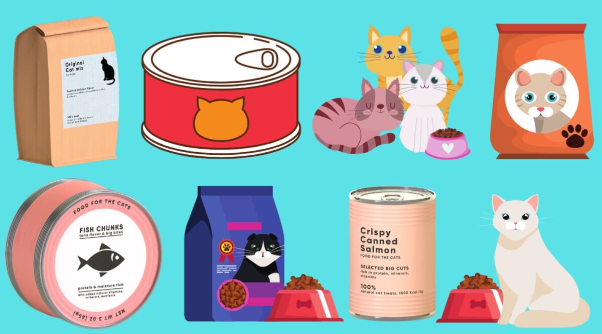 Best Wet Cat Food For Cats With No Teeth The Kitty Expert