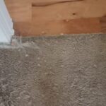 Your ultimate goal to stop your cat scratching carpet should be to direct your cat’s attention to an alternative target, like a vertical scratching pole or horizontal pads.