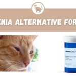 Cerenia Alternative for Cats