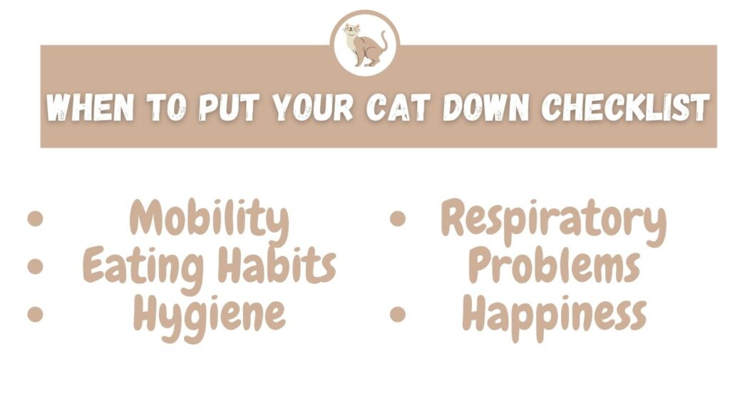 When To Put Your Cat Down Checklist