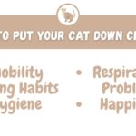 When To Put Your Cat Down Checklist