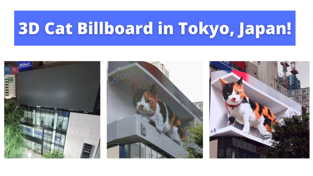 3D Cat Billboard in Tokyo, Japan
