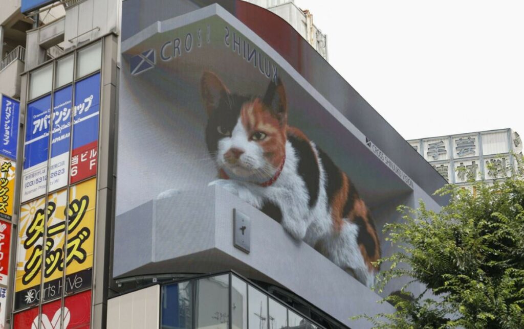 3d cat billboard tokyo