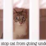 How to Stop a Cat From Going Under the Bed