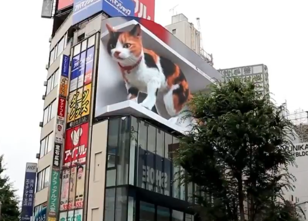 3d cat billboard