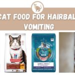 best cat food for hairballs and vomiting