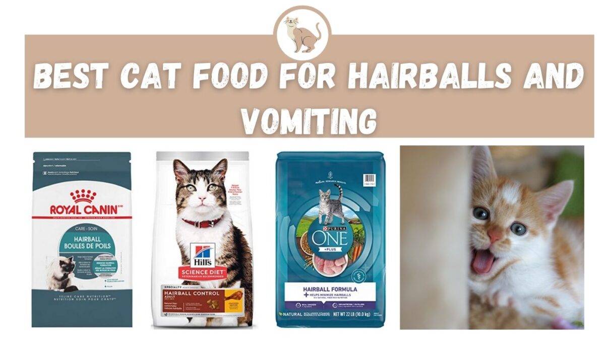 Best Cat Food For Hairballs And Vomiting The Kitty Expert
