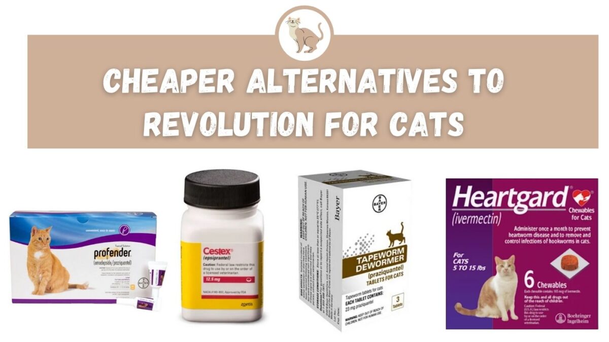 cheaper-alternatives-to-revolution-for-cats-the-kitty-expert
