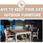 8 Ways to Keep Your Cat Off Outdoor Furniture