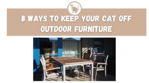 8 Ways to Keep Your Cat Off Outdoor Furniture