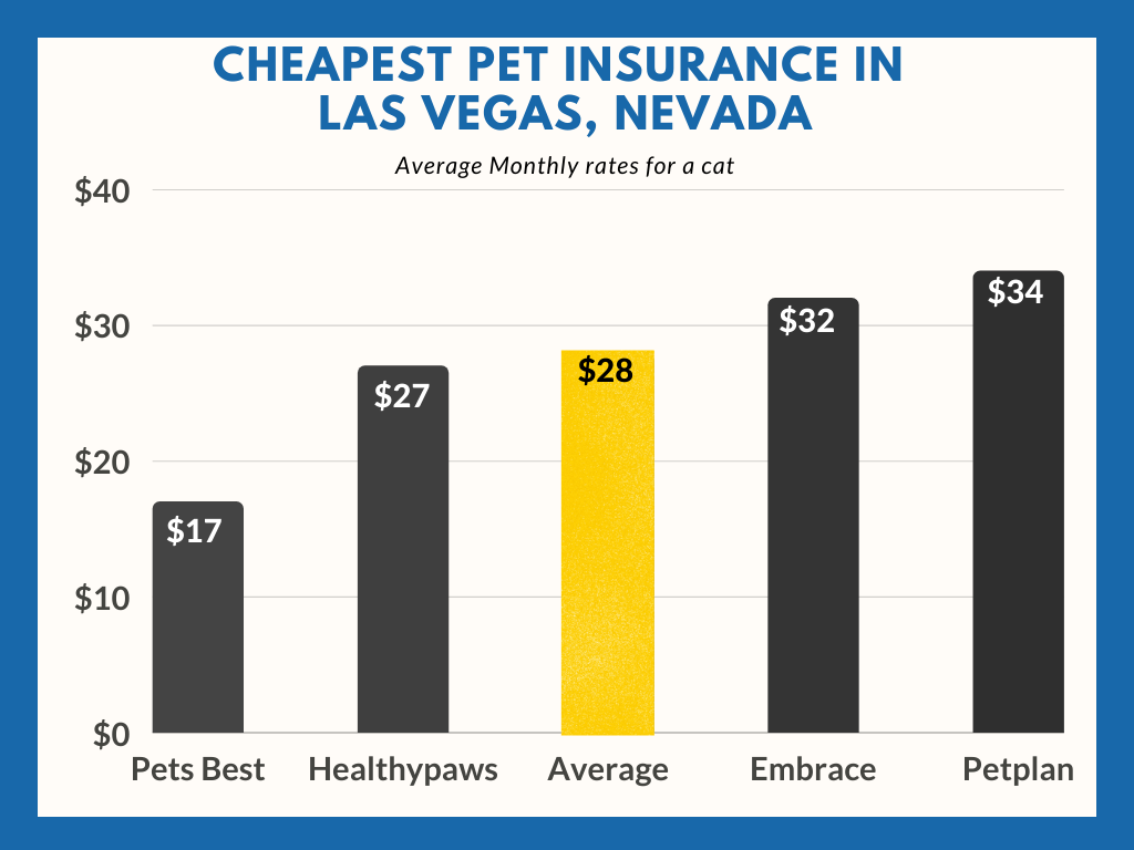 cost of pet insurance in las vegas for a cat