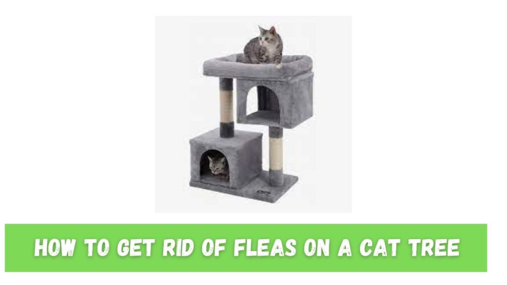 How To Get Rid Of Fleas on A Cat Tree