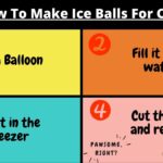 How To Make Ice Balls For Cats