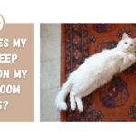 why does my cat keep peeing on my bathroom rugs
