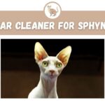 Best Ear Cleaner for Sphynx Cats