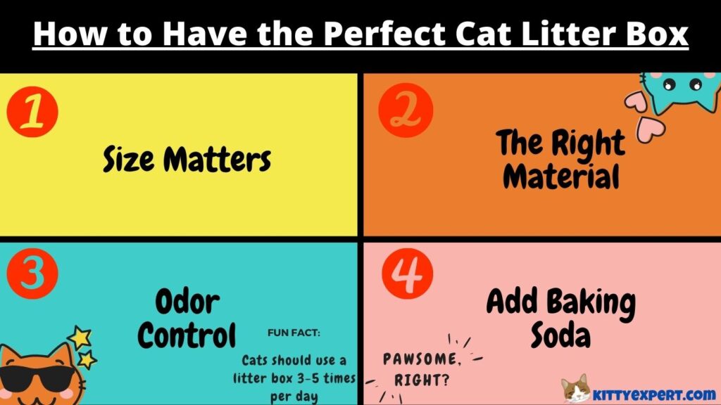 perfect cat litter box