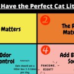 perfect cat litter box