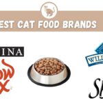 best cat food brands