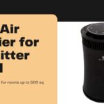 Best Air Purifier for Cat Litter Smell