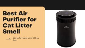 Best Air Purifier for Cat Litter Smell
